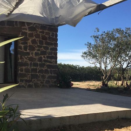 Villa Sa Domo De Mannoi Su Catreathu Orosei Exterior foto