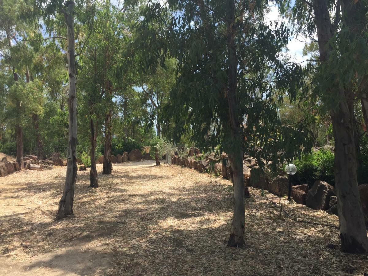 Villa Sa Domo De Mannoi Su Catreathu Orosei Exterior foto